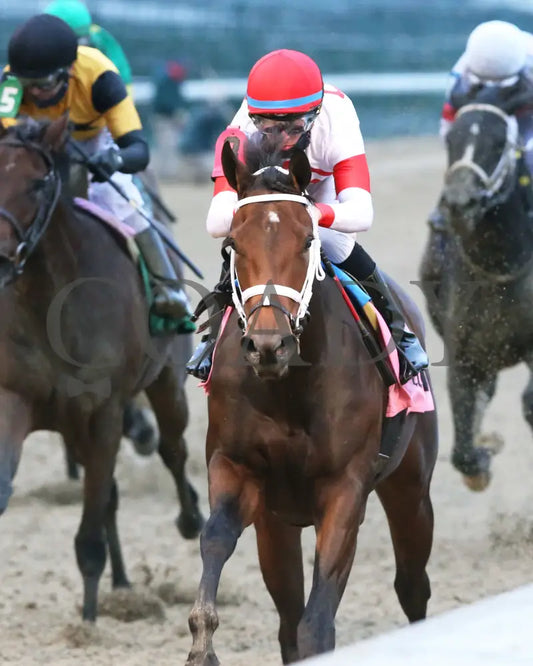 Coach - The Rags To Riches Overnight Stakes 8Th Running 10-25-20 R10 Cd Inside Finish 01 Churchill