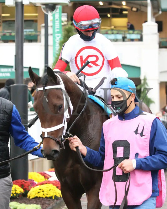 Coach - The Rags To Riches Overnight Stakes 8Th Running 10-25-20 R10 Cd Paddock 01 Churchill Downs