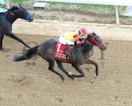 COAL BATTLE - The Rebel Stakes G2 - 02-23-25 - R11 - OP - Aerial Finish 01 Oaklawn Park