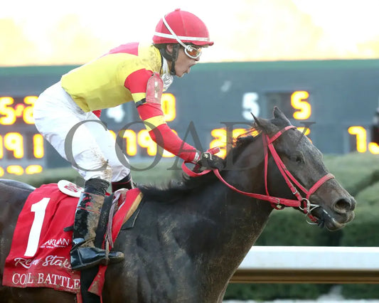 COAL BATTLE - The Rebel Stakes G2 - 02-23-25 - R11 - OP - Celebration 04 Oaklawn Park