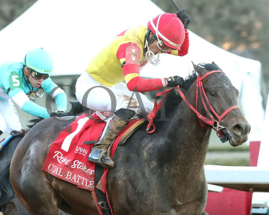 COAL BATTLE - The Rebel Stakes G2 - 02-23-25 - R11 - OP - Celebration 02 Oaklawn Park