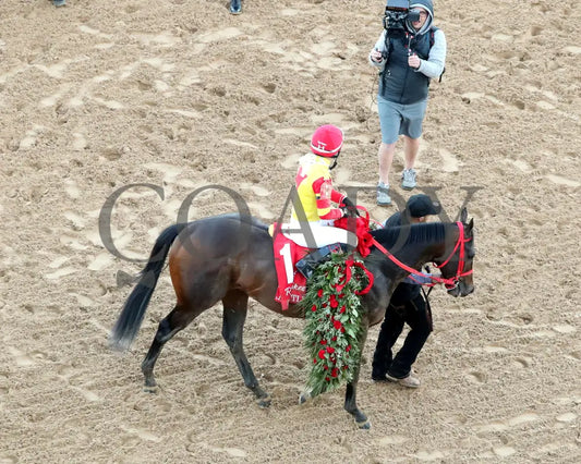 COAL BATTLE - The Rebel Stakes G2 - 02-23-25 - R11 - OP - Come Back 01 Oaklawn Park