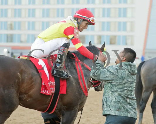 COAL BATTLE - The Rebel Stakes G2 - 02-23-25 - R11 - OP - Come Back 03 Oaklawn Park