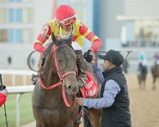 COAL BATTLE - The Rebel Stakes G2 - 02-23-25 - R11 - OP - Come Back 04 Oaklawn Park