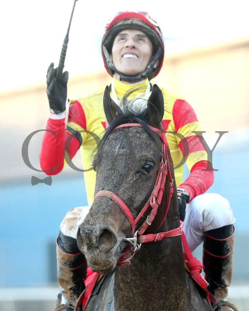 COAL BATTLE - The Rebel Stakes G2 - 02-23-25 - R11 - OP - Come Back 05 Oaklawn Park