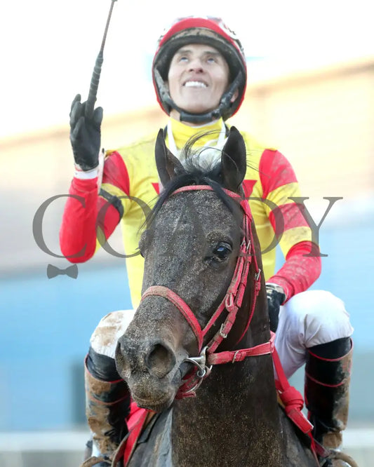 COAL BATTLE - The Rebel Stakes G2 - 02-23-25 - R11 - OP - Come Back 05 Oaklawn Park