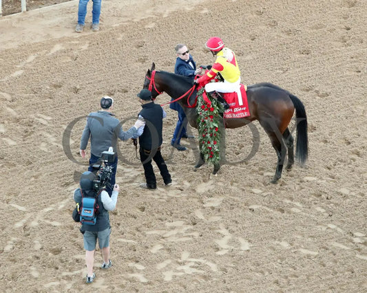 COAL BATTLE - The Rebel Stakes G2 - 02-23-25 - R11 - OP - Come Back 02 Oaklawn Park