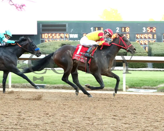 COAL BATTLE - The Rebel Stakes G2 - 02-23-25 - R11 - OP - Finish 01 Oaklawn Park