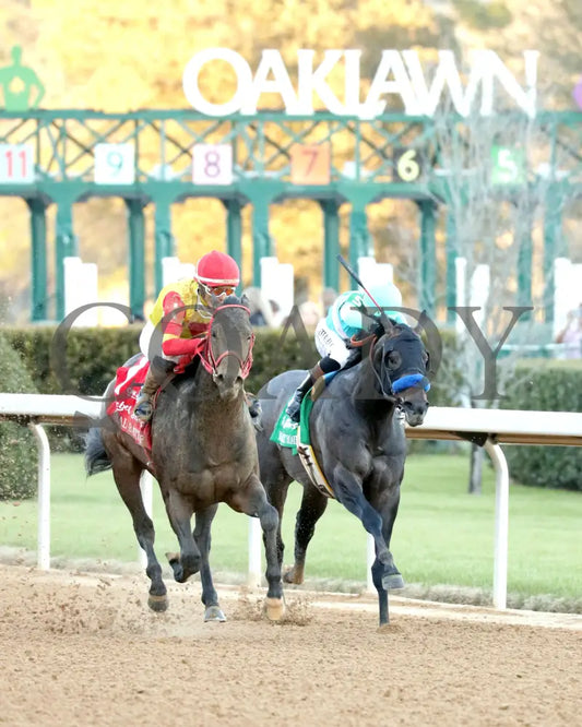 COAL BATTLE - The Rebel Stakes G2 - 02-23-25 - R11 - OP - Finish 03 Oaklawn Park