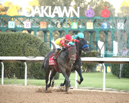 COAL BATTLE - The Rebel Stakes G2 - 02-23-25 - R11 - OP - Finish 04 Oaklawn Park