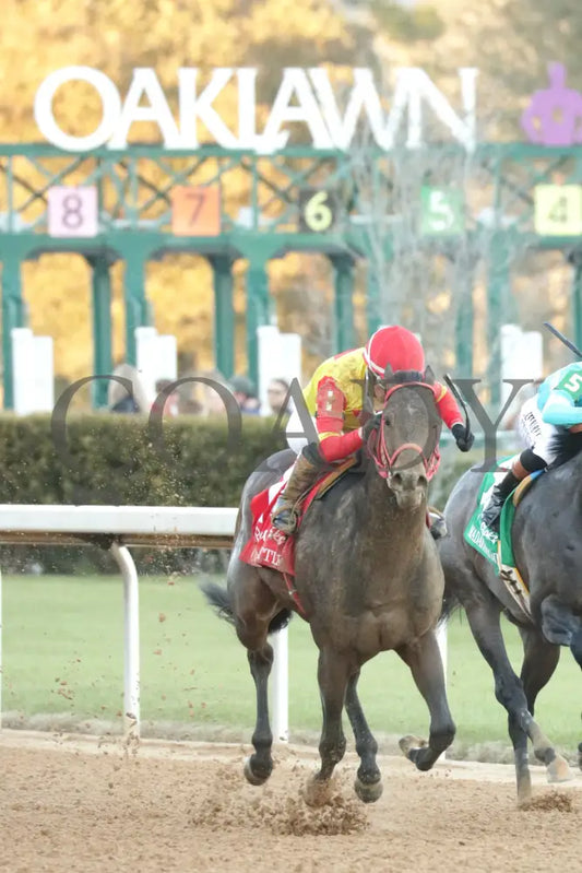 COAL BATTLE - The Rebel Stakes G2 - 02-23-25 - R11 - OP - Finish 06 Oaklawn Park