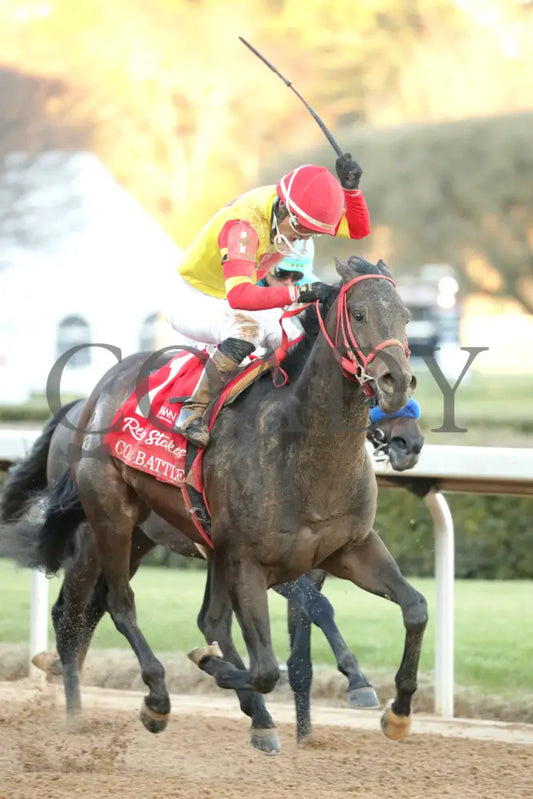 COAL BATTLE - The Rebel Stakes G2 - 02-23-25 - R11 - OP - Finish 07 Oaklawn Park