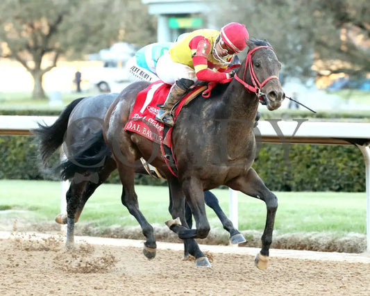 COAL BATTLE - The Rebel Stakes G2 - 02-23-25 - R11 - OP - Finish 02 Oaklawn Park