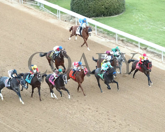 COAL BATTLE - The Rebel Stakes G2 - 02-23-25 - R11 - OP - First Pass 01 Oaklawn Park