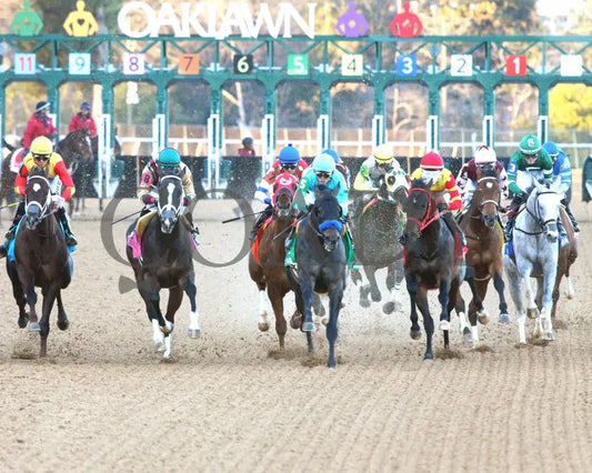 COAL BATTLE - The Rebel Stakes G2 - 02-23-25 - R11 - OP - First Pass 03 Oaklawn Park
