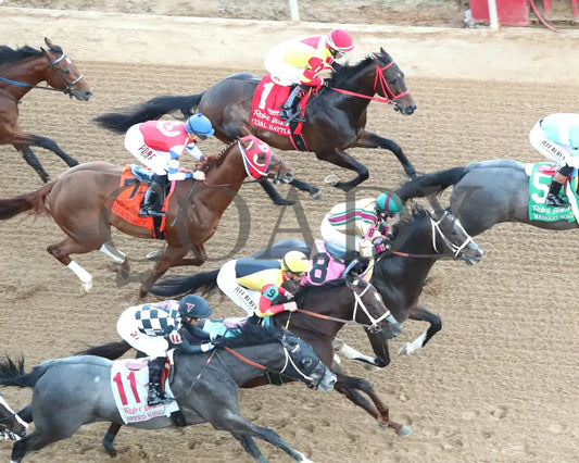 COAL BATTLE - The Rebel Stakes G2 - 02-23-25 - R11 - OP - First Pass 02 Oaklawn Park