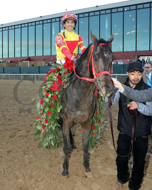 COAL BATTLE - The Rebel Stakes G2 - 02-23-25 - R11 - OP - Garland 03 Oaklawn Park