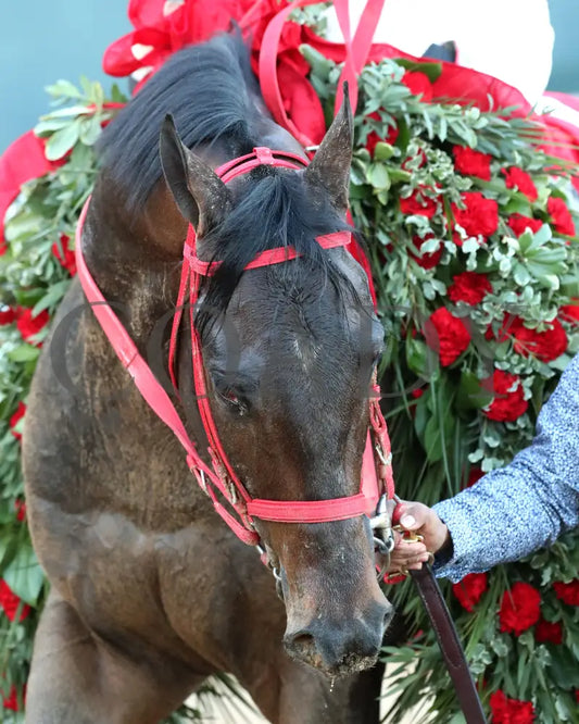 COAL BATTLE - The Rebel Stakes G2 - 02-23-25 - R11 - OP - Garland 04 Oaklawn Park