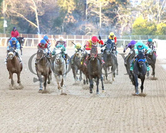 COAL BATTLE - The Rebel Stakes G2 - 02-23-25 - R11 - OP - Head On 01 Oaklawn Park