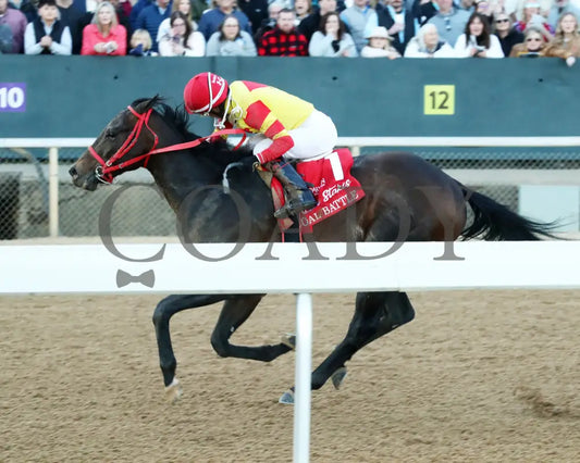 COAL BATTLE - The Rebel Stakes G2 - 02-23-25 - R11 - OP - Inside Finish 01 Oaklawn Park