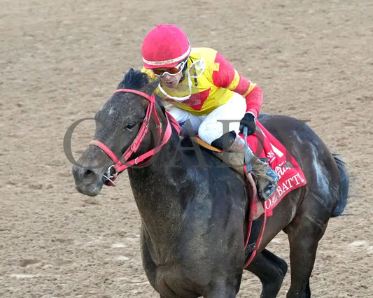 COAL BATTLE - The Rebel Stakes G2 - 02-23-25 - R11 - OP - Inside Finish 03 Oaklawn Park