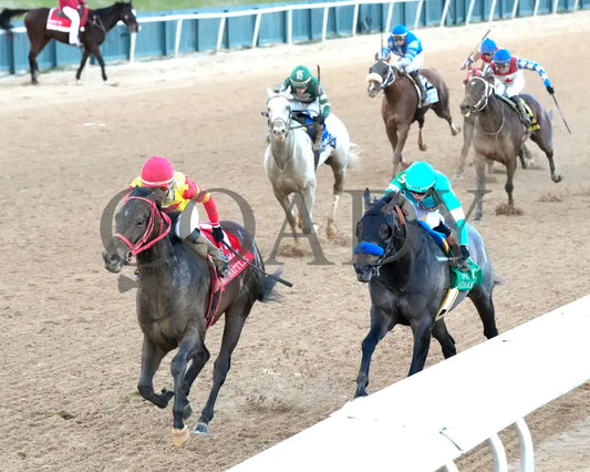 COAL BATTLE - The Rebel Stakes G2 - 02-23-25 - R11 - OP - Inside Finish 02 Oaklawn Park