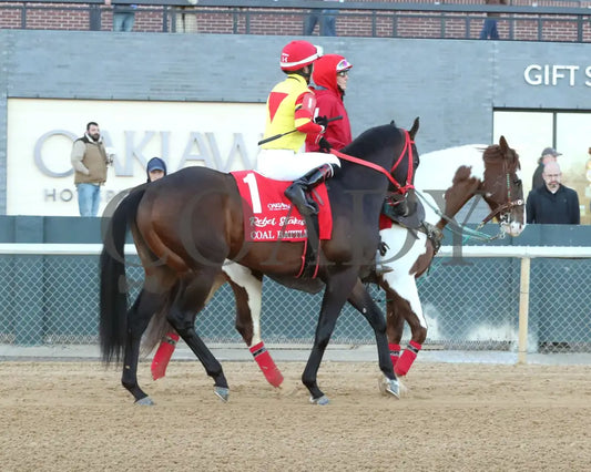 COAL BATTLE - The Rebel Stakes G2 - 02-23-25 - R11 - OP - Post Parade 01 Oaklawn Park