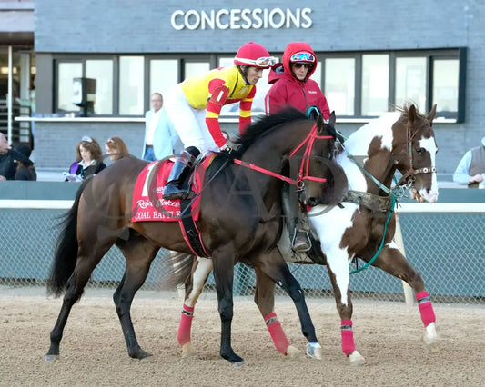 COAL BATTLE - The Rebel Stakes G2 - 02-23-25 - R11 - OP - Post Parade 05 Oaklawn Park