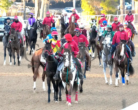 COAL BATTLE - The Rebel Stakes G2 - 02-23-25 - R11 - OP - Post Parade 06 Oaklawn Park