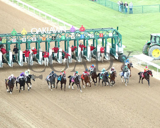 COAL BATTLE - The Rebel Stakes G2 - 02-23-25 - R11 - OP - Start 01 Oaklawn Park