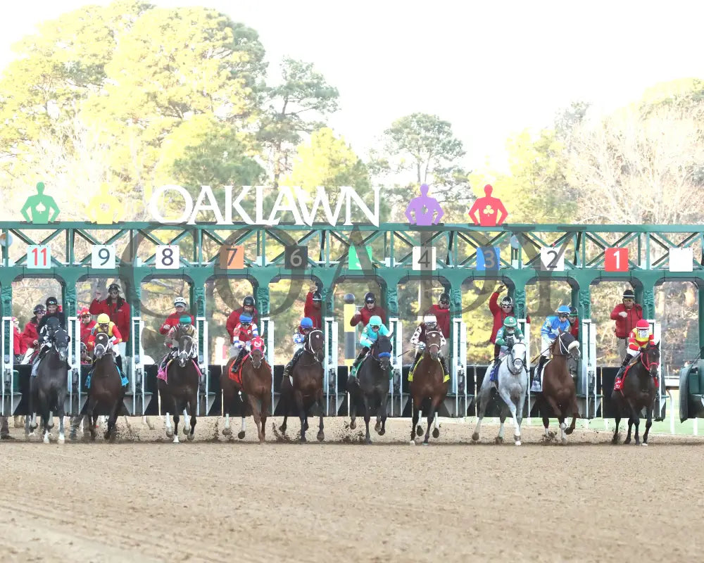 COAL BATTLE - The Rebel Stakes G2 - 02-23-25 - R11 - OP - Start 03 Oaklawn Park