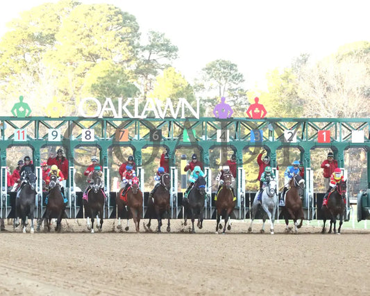 COAL BATTLE - The Rebel Stakes G2 - 02-23-25 - R11 - OP - Start 03 Oaklawn Park