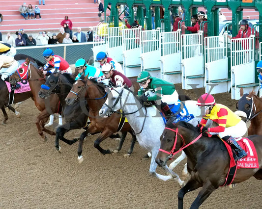 COAL BATTLE - The Rebel Stakes G2 - 02-23-25 - R11 - OP - Start 04 Oaklawn Park
