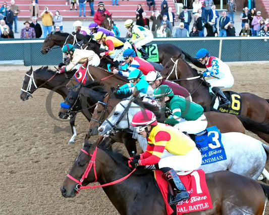 COAL BATTLE - The Rebel Stakes G2 - 02-23-25 - R11 - OP - Start 05 Oaklawn Park