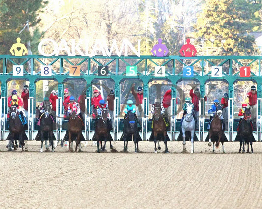 COAL BATTLE - The Rebel Stakes G2 - 02-23-25 - R11 - OP - Start 06 Oaklawn Park