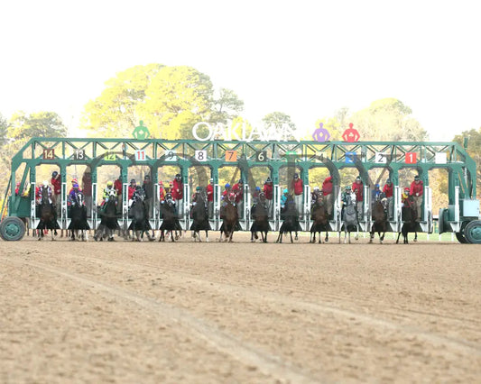COAL BATTLE - The Rebel Stakes G2 - 02-23-25 - R11 - OP - Start 02 Oaklawn Park