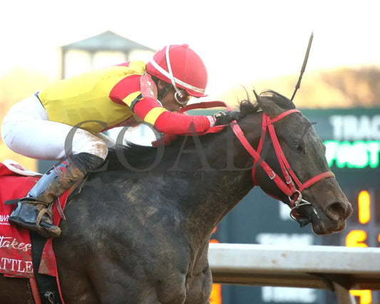 COAL BATTLE - The Rebel Stakes G2 - 02-23-25 - R11 - OP - Tight Finish 03 Oaklawn Park