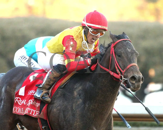 COAL BATTLE - The Rebel Stakes G2 - 02-23-25 - R11 - OP - Tight Finish 02 Oaklawn Park