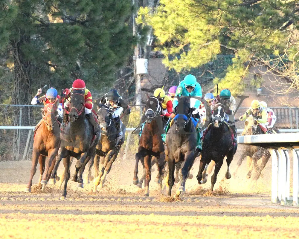 COAL BATTLE - The Rebel Stakes G2 - 02-23-25 - R11 - OP - Turn 01 Oaklawn Park