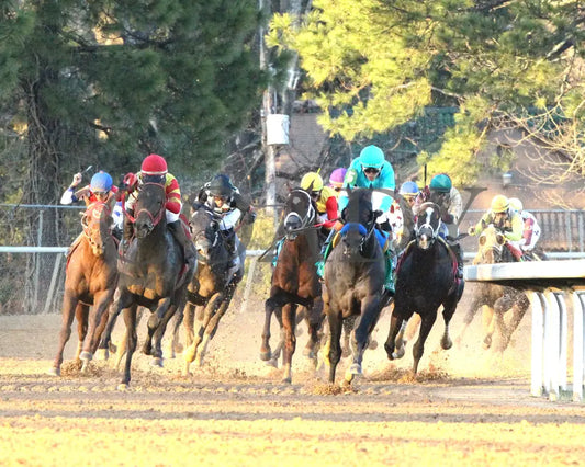 COAL BATTLE - The Rebel Stakes G2 - 02-23-25 - R11 - OP - Turn 01 Oaklawn Park
