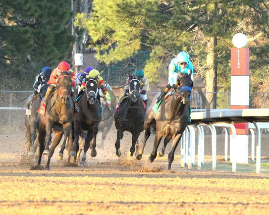 COAL BATTLE - The Rebel Stakes G2 - 02-23-25 - R11 - OP - Turn 02 Oaklawn Park