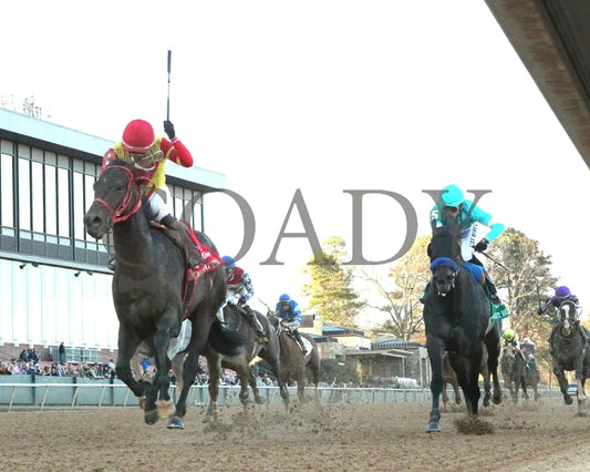 COAL BATTLE - The Rebel Stakes G2 - 02-23-25 - R11 - OP - Under Rail 01 Oaklawn Park