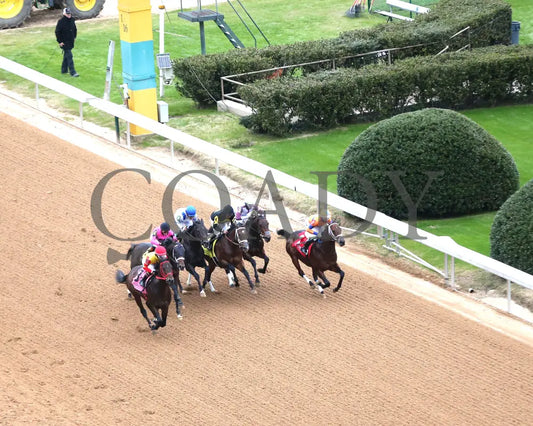 Coal Battle - The Smarty Jones Stakes 01-04-25 R09 Op Aerial Start 01 Oaklawn Park