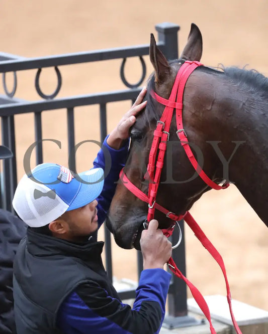 Coal Battle - The Smarty Jones Stakes 01-04-25 R09 Op Come Back 02 Oaklawn Park