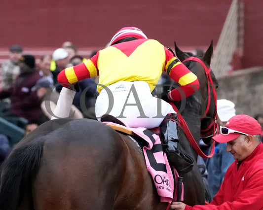 Coal Battle - The Smarty Jones Stakes 01-04-25 R09 Op Come Back 06 Oaklawn Park