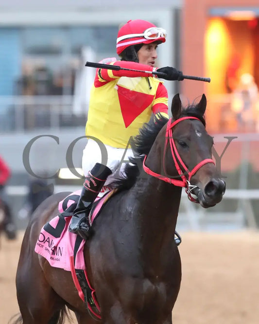 Coal Battle - The Smarty Jones Stakes 01-04-25 R09 Op Come Back 04 Oaklawn Park