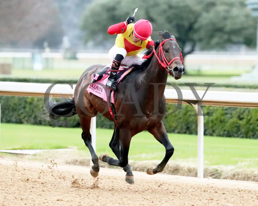 Coal Battle - The Smarty Jones Stakes 01-04-25 R09 Op Finish 02 Oaklawn Park