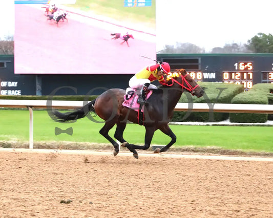 Coal Battle - The Smarty Jones Stakes 01-04-25 R09 Op Finish 01 Oaklawn Park