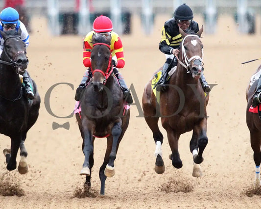Coal Battle - The Smarty Jones Stakes 01-04-25 R09 Op First Turn 01 Oaklawn Park