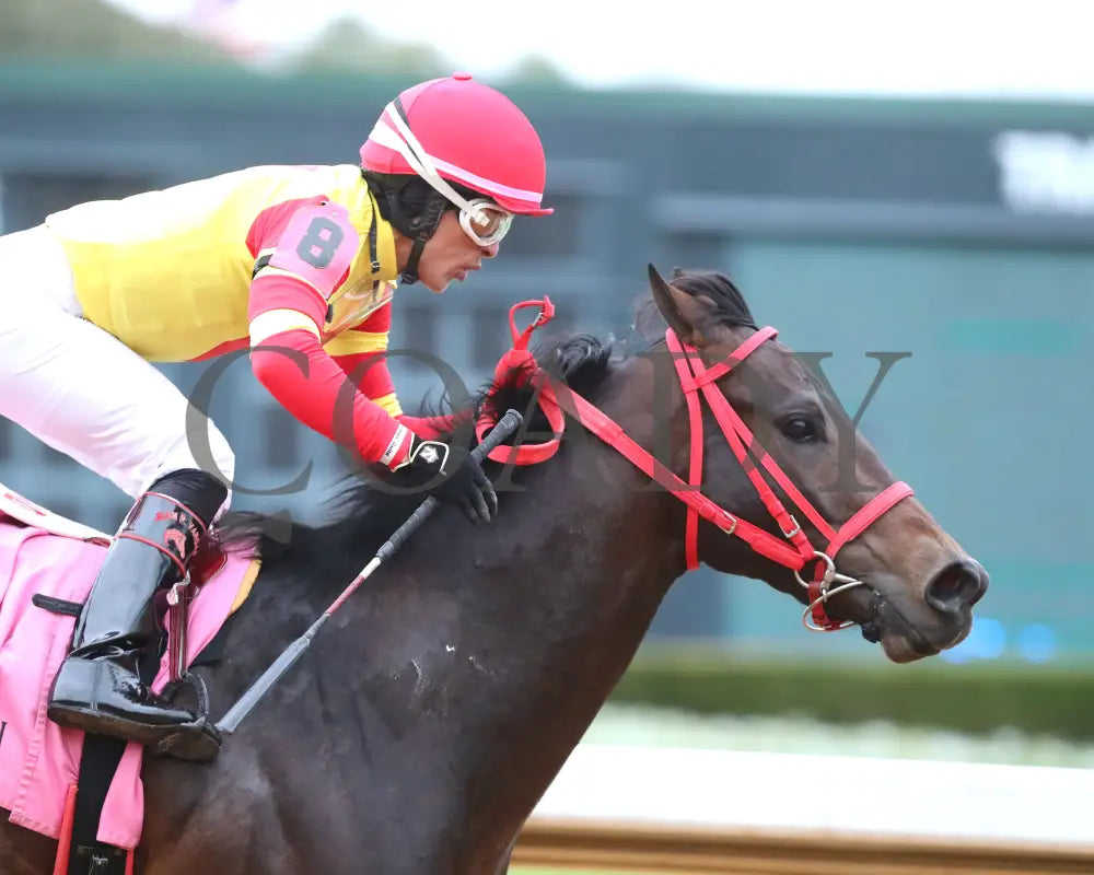 Coal Battle - The Smarty Jones Stakes 01-04-25 R09 Op Gallop Out 01 Oaklawn Park